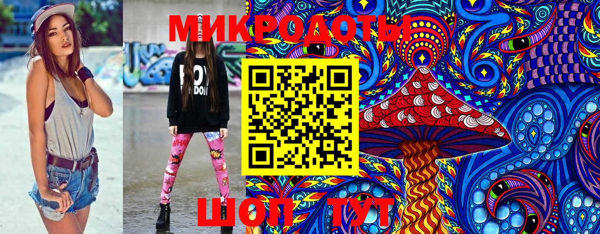 Галлюциногенные грибы Psilocybe  Вход с VPN  Галлюциногенные грибы мухоморы  Артём 